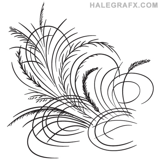 FREE Feather Flourish Vectors, vector art FREE Feather Flourish Vectors, vector art