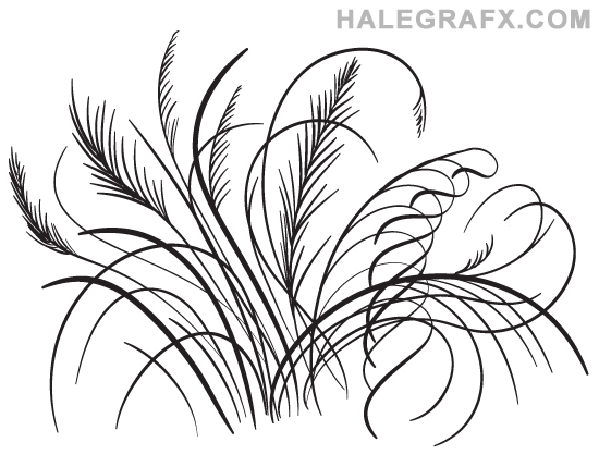 FREE Feather Flourish Vectors, vector art FREE Feather Flourish Vectors, vector art